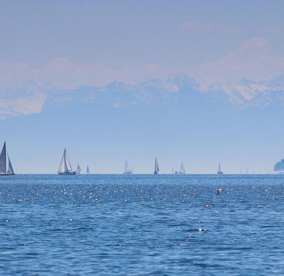 Segeln auf dem Bodensee