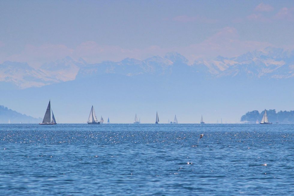 Segeln auf dem Bodensee